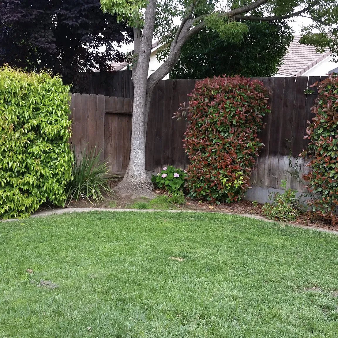 4634 Whisper Pl — Photo 4