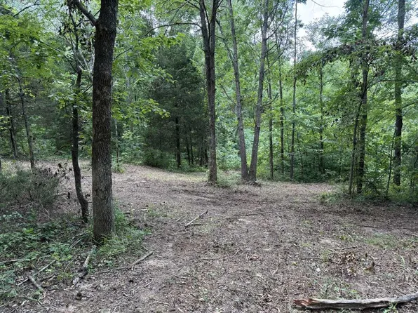 1234 State Highway 600, Greenville, KY 42345