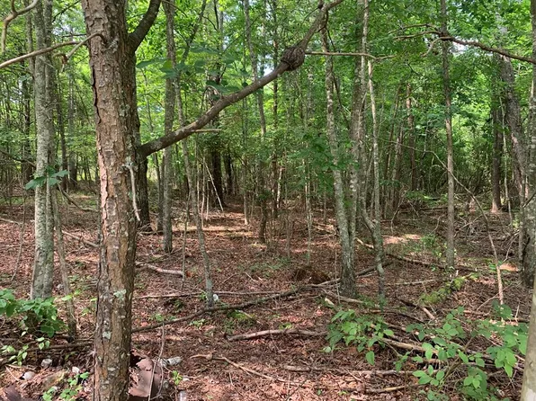 LOT 754 Mustang Dr, Spencer, TN 38585