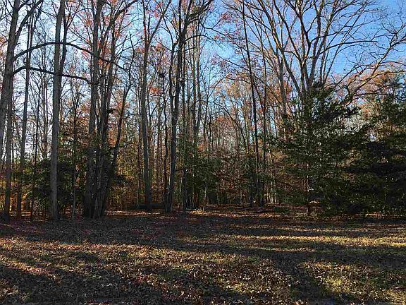 3rd image of Stokley Ct Lot 12