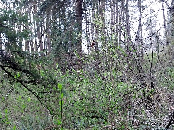 4th image of 1515 Middle St SE
