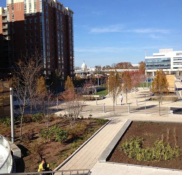 1000 New Jersey Ave SE #1113 — Photo 9