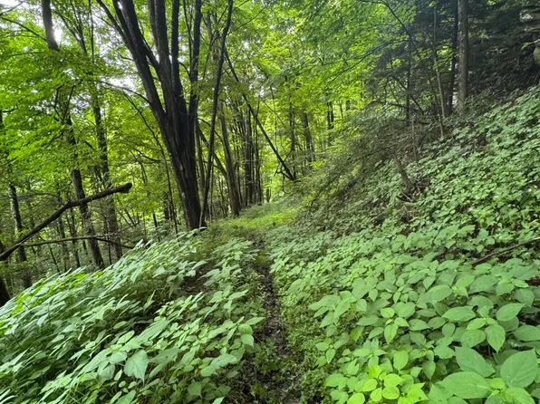 McCarty St, Richwood, WV 26261