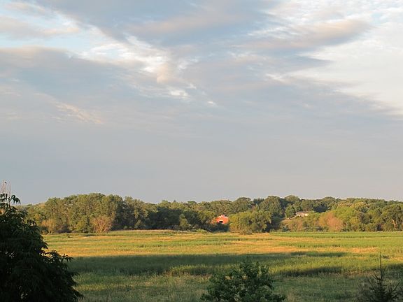 View of Wetlands From Deck.