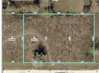 16165 Schaffer St, Brooksville, FL 34604