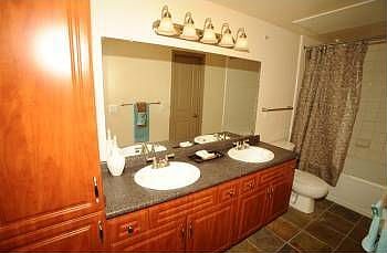 5th image of 3123 Stone Arbor Ln APT 1515