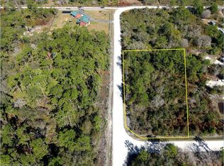 479 Kulwicki Dr, Venus, FL 33960