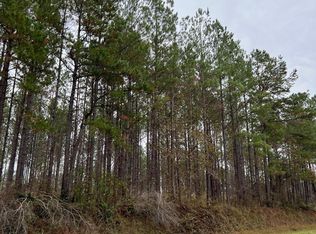 LOT 7 Point Wanita Lake Rd, Chunky, MS 39323