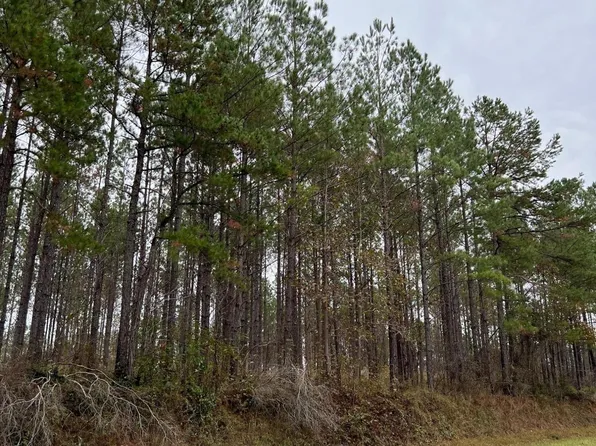 LOT 7 Point Wanita Lake Rd, Chunky, MS 39323