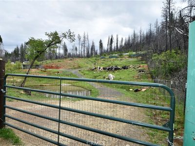 77 Webster Rd, Berry Creek, CA, 95916