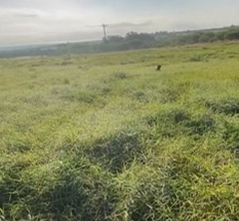 4th image of 0 FM743 & CR140 0 FM743 & CR140
