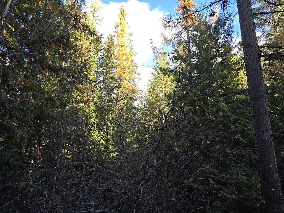 2nd image of 20XX Summit Valley Rd