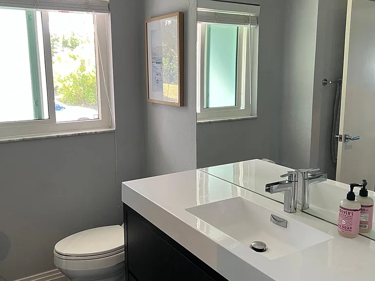 Guest bathroom