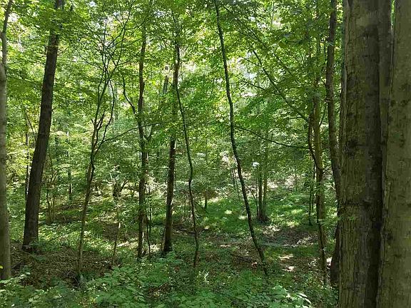 3rd image of 4051 N County Road 460 W