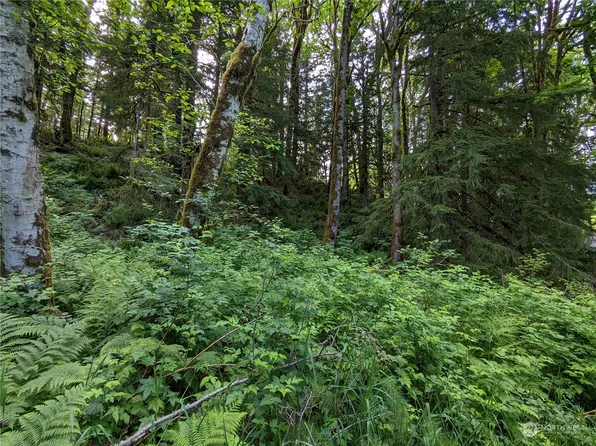 0 Wits End Place, Index, WA 98256