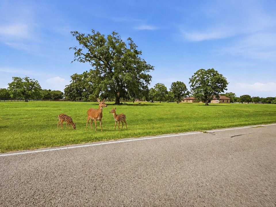 1st image of 1011 W Fm 1462