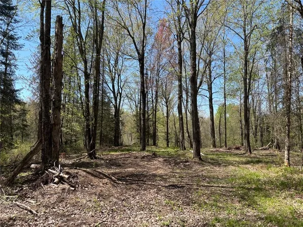0 Smith Road, Exeland, WI 54835