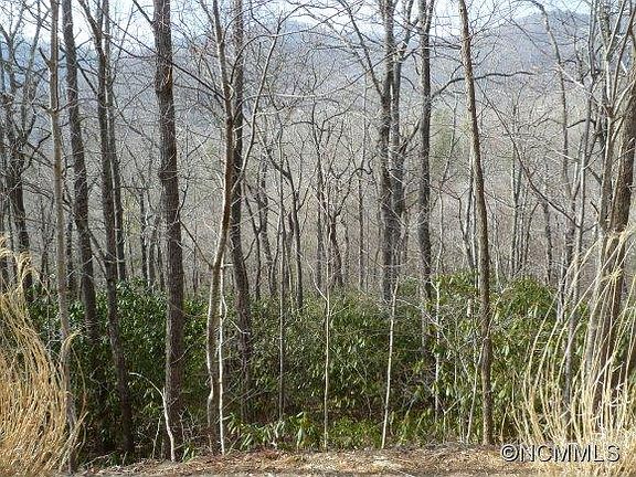 4th image of 0 Maryland Pl