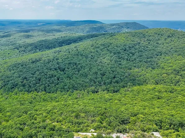 1407 Holloway Ridge Rd, Spring City, TN 37381