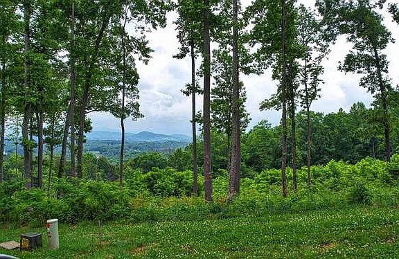3rd image of LOT 66 Winding Ridge