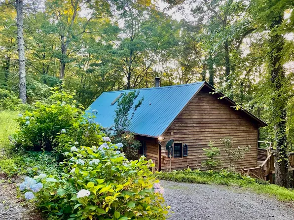 808 Mill Stone Mountain Ln, Blue Ridge, GA 30513