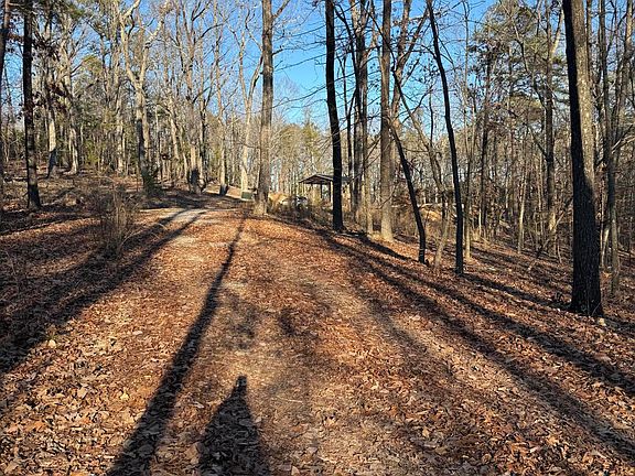 5th image of 210 Whaley Hills Dr