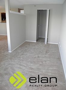 5th image of 441 E Erie St APT 2102