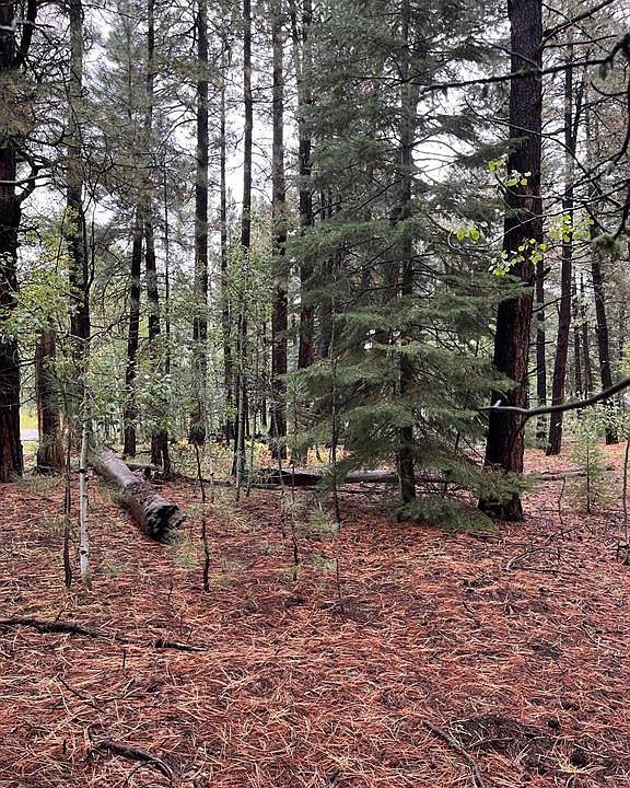 1st image of 47 Deer Trail Lane