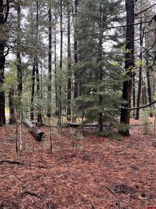 47 Deer Trail Lane, Bayfield, CO, 81122