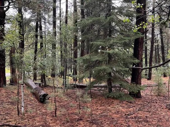 47 Deer Trail Lane, Vallecito Lake/Bayfield, CO 81122