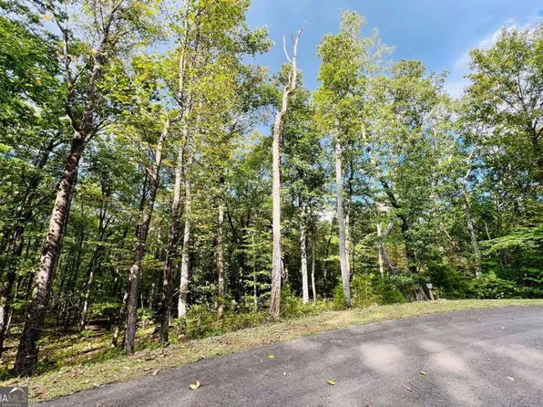 162 Trailwood Dr, Ellijay, GA 30536