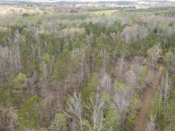 Old Sobby Rd, Bethel Springs, TN 38315