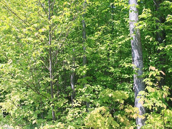 4th image of Lakeshore Dr #68