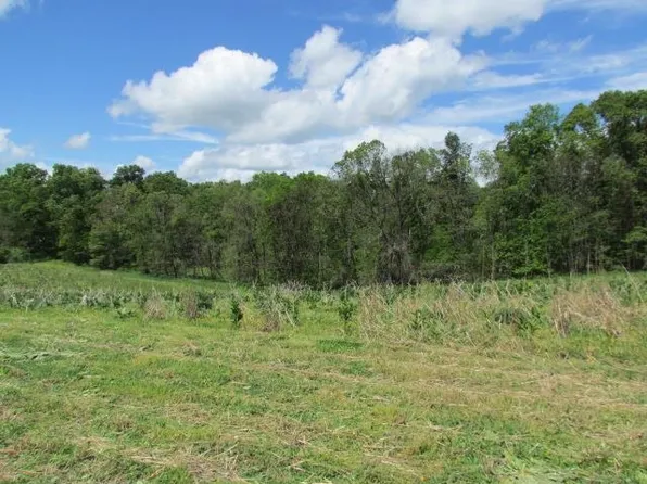 Trinity Church Rd, Harrisonburg, VA 22802