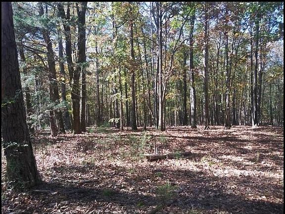 5th image of 1411 County Road 827