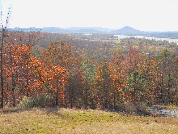 4th image of 14025 Mountain River Dr