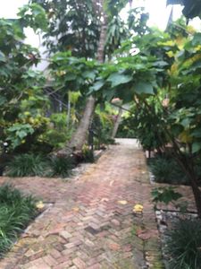 2850 Coconut Ave APT 4, Miami, FL, 33133