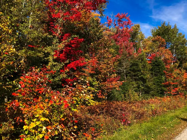 LOT 19 W Cedar Dr, Sault Sainte Marie, MI 49783
