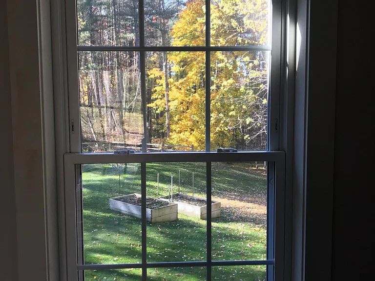 Back yard view