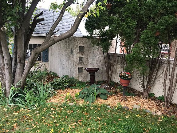 Back yard garden area