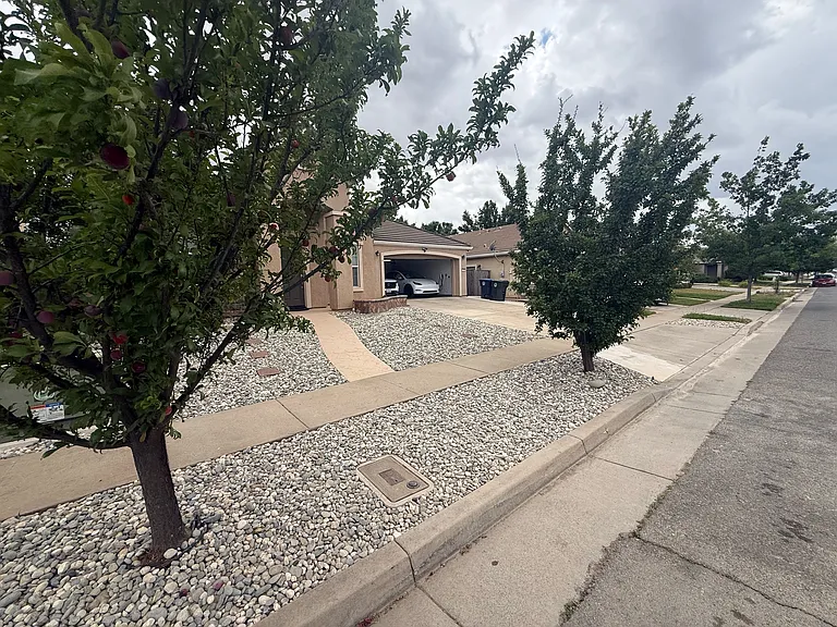 12286 Canyonlands Dr — Photo 3