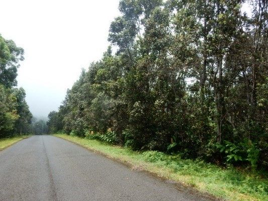 2nd image of Haleamau St