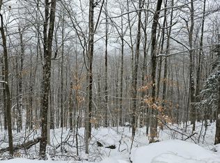 L12 14th Rd, Minerva, NY 12851