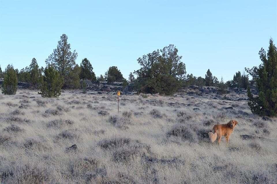 E Highway 140, Bly, OR 97622 MLS 220161151 Zillow