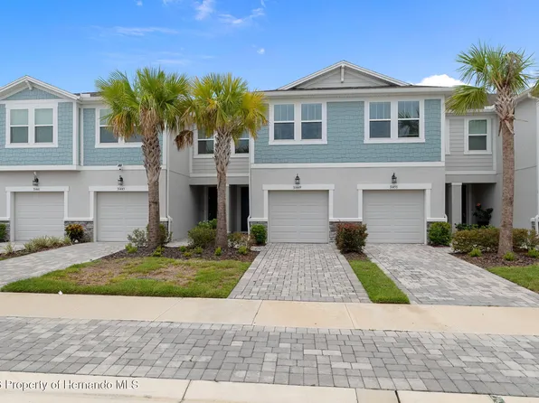 31449 Woodland Race Loop, Wesley Chapel, FL 33545