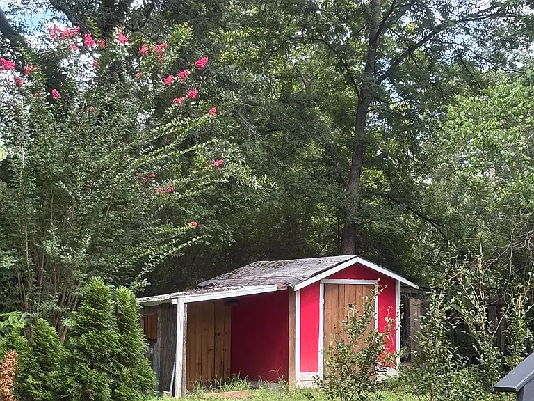 229 Old Planters Rd — Photo 4