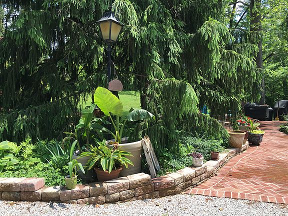 Front walk off driveway 