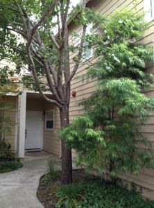 58 Amesport Lndg, Half Moon Bay, CA, 94019