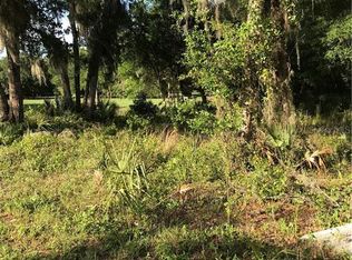 271 Dickson Ave, Osteen, FL 32764