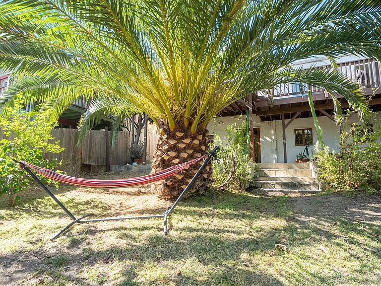 Hammock under the king palm tree (backyard is exclusive to studio)